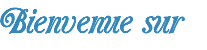 Bienvenue sur 